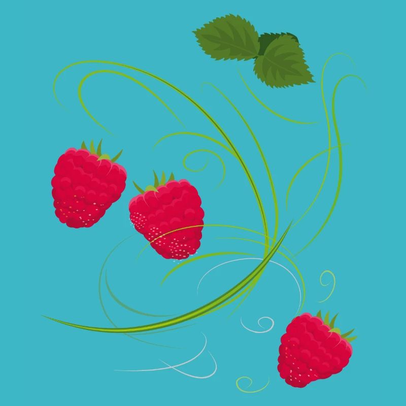 Raspberry, Fruit