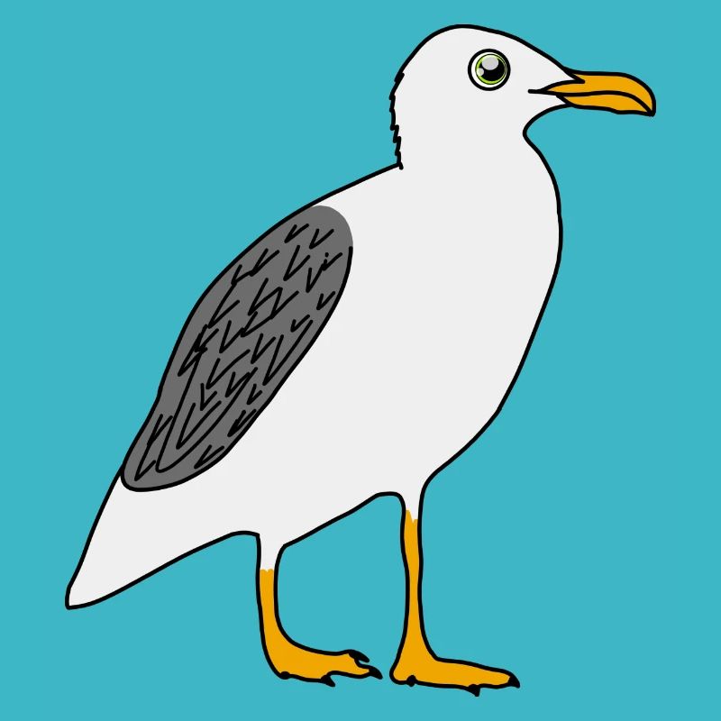 Mouette