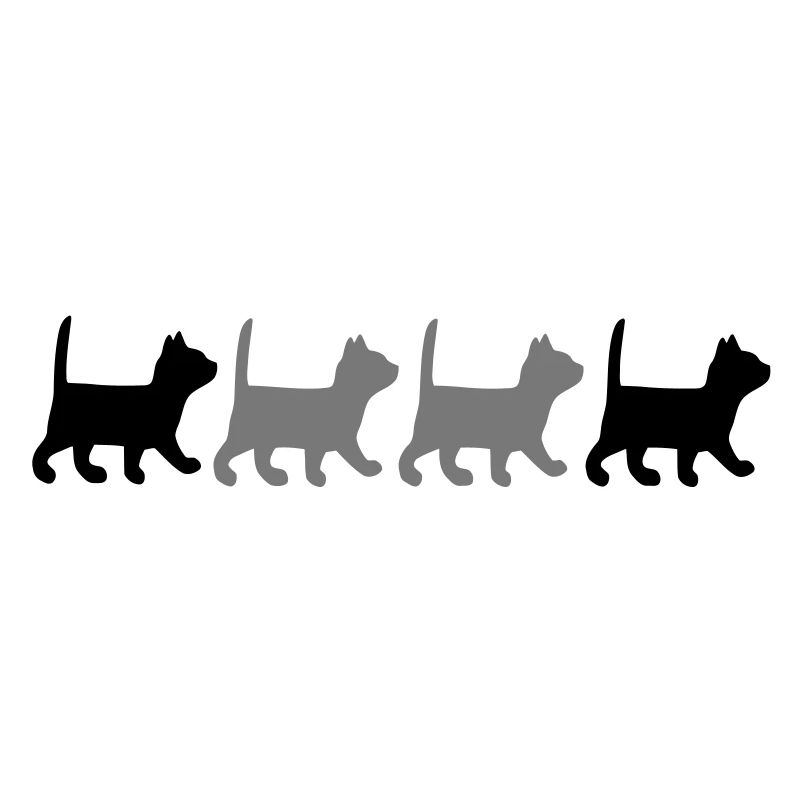 Kitten