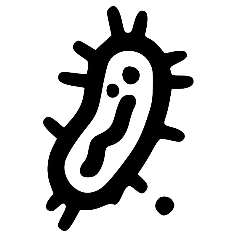 Bacteria