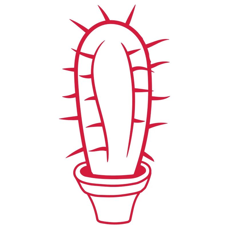 Petit Cactus Épines Désert Cactus Pot de Fleur