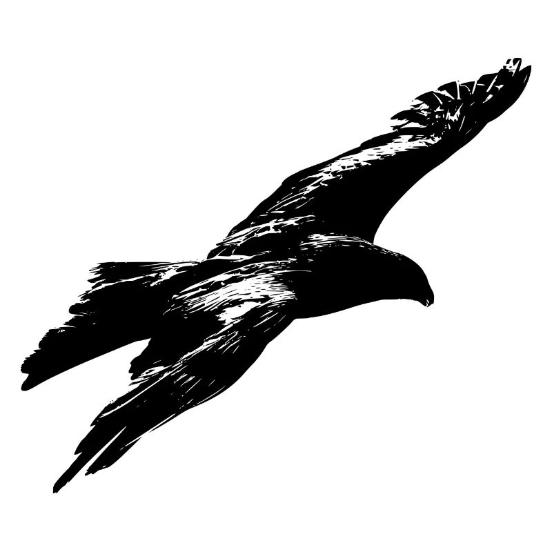aigle