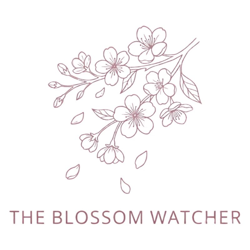 The Blossom Watcher - Illustrations de la saison Spring Snow UK