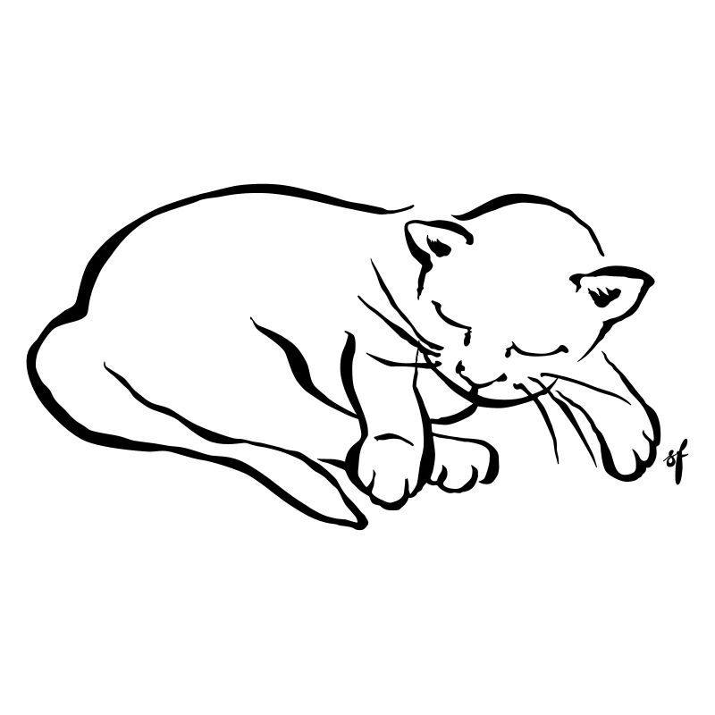 Meine kleine Katze schläft