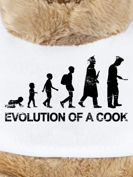 Koch Evolution
