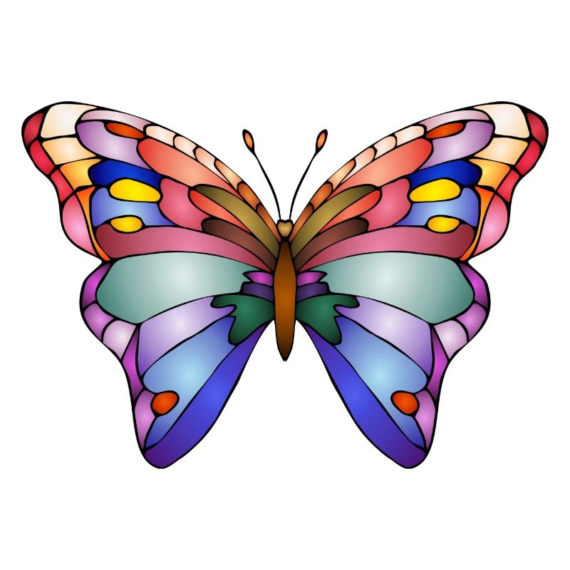 Papillon