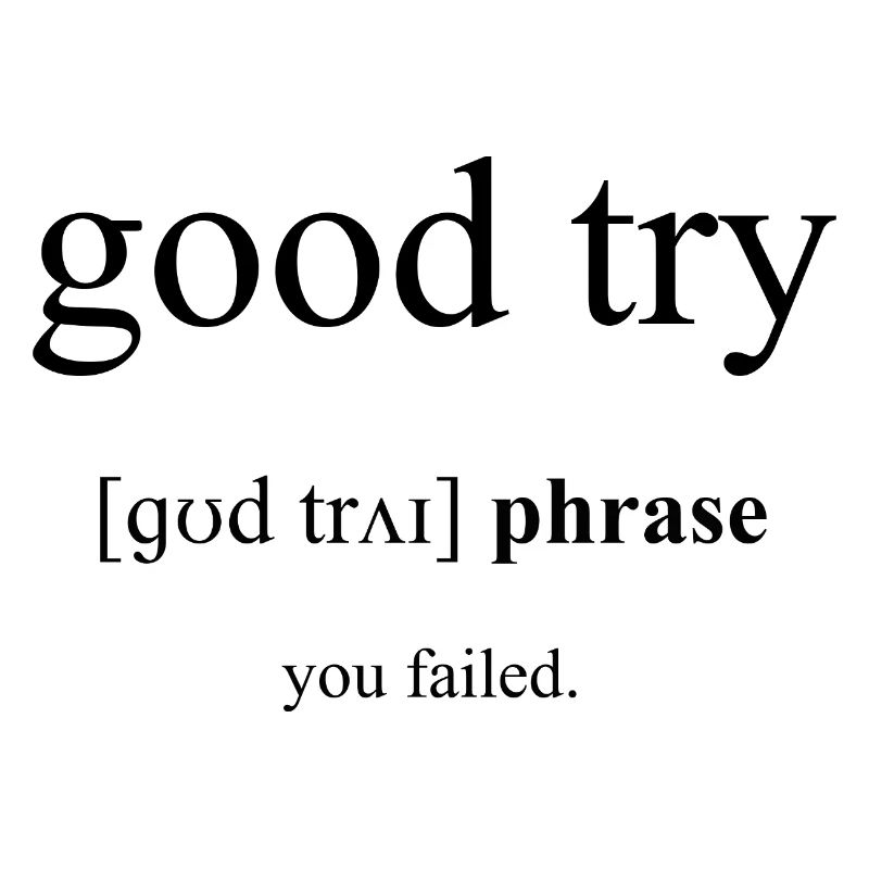 Good try | netter Versuch Definition Dictionary