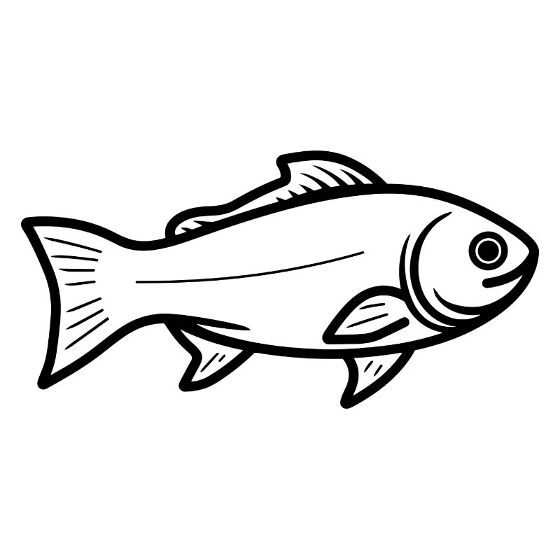 Fisch Skizze
