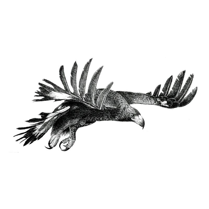 L’Aigle
