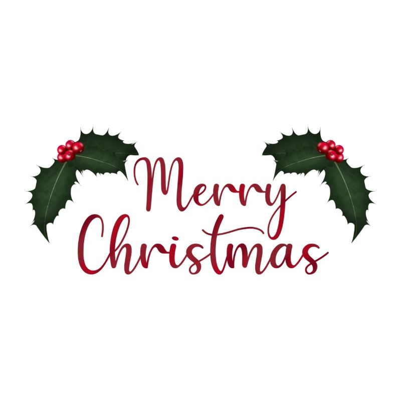 Lettrage de joyeux Noël avec houx