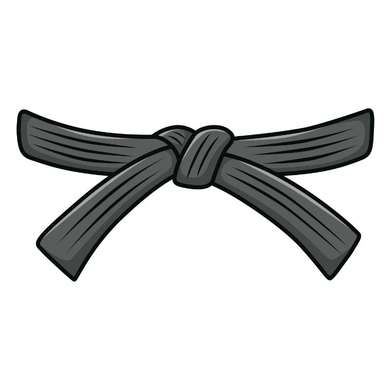 Ceinture de karaté, ceinture noire 1er dan, instructeur de karaté