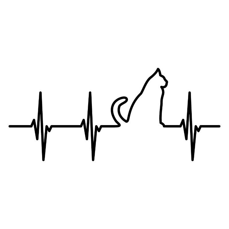 Cat Cardiogram