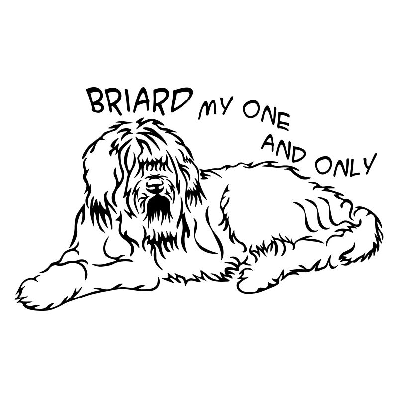 Briard_mitSchrift