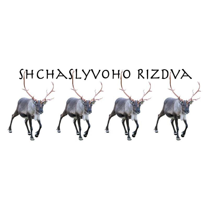 Schtschalwoho Rizdva