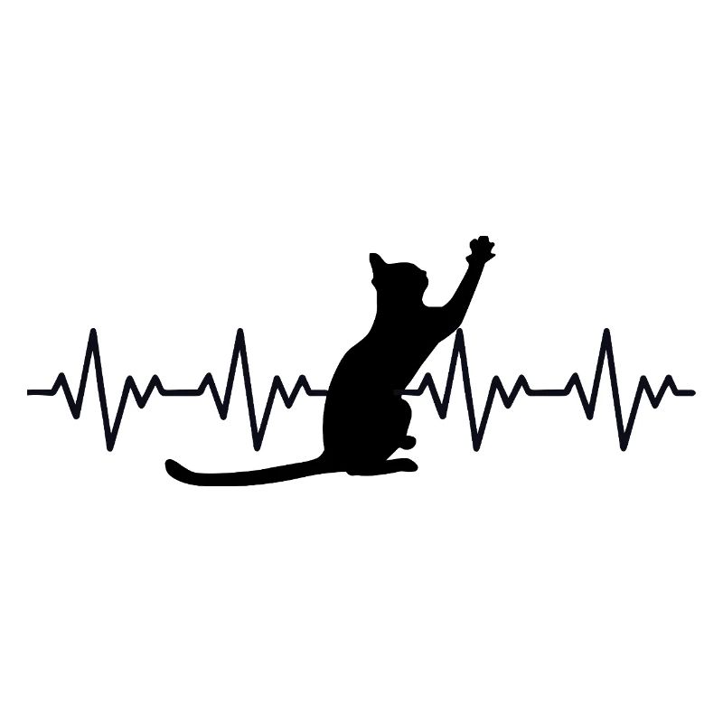 Katze EKG Herzfrequenz Herzschlag