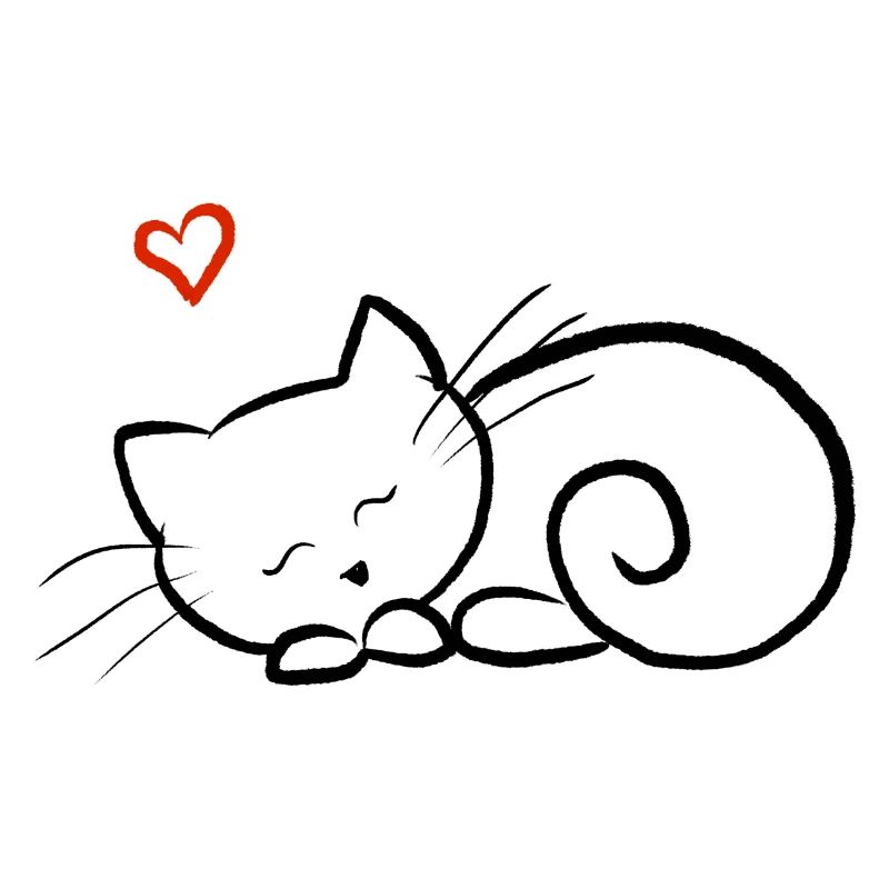 Chaton endormi
