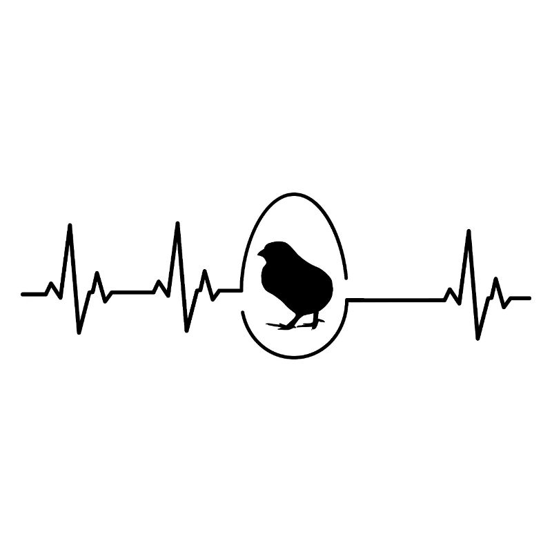 Chickens Fans - - Rooster - Chicks