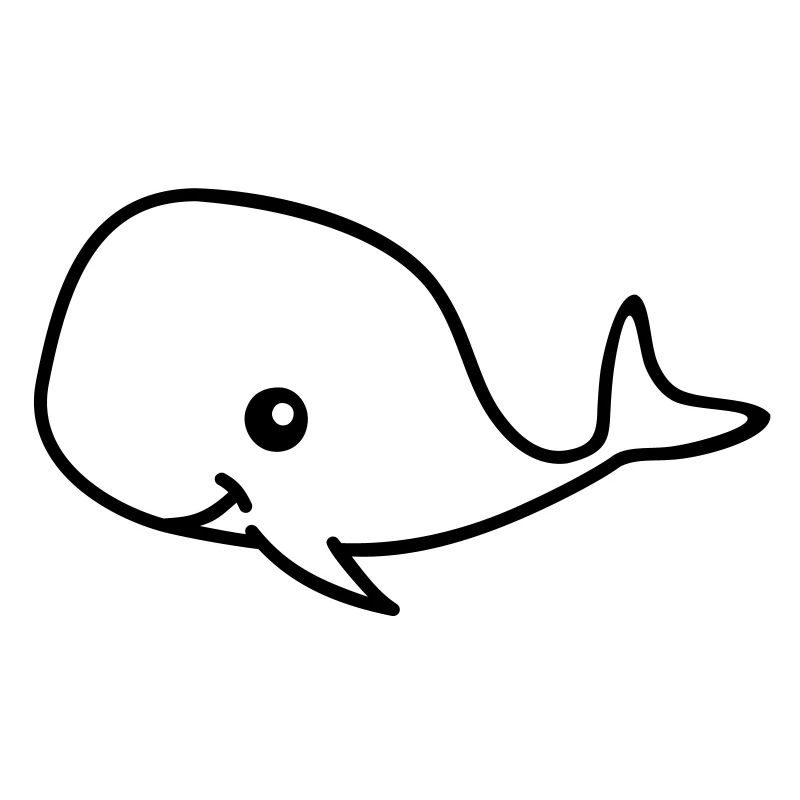 Baleine drôle