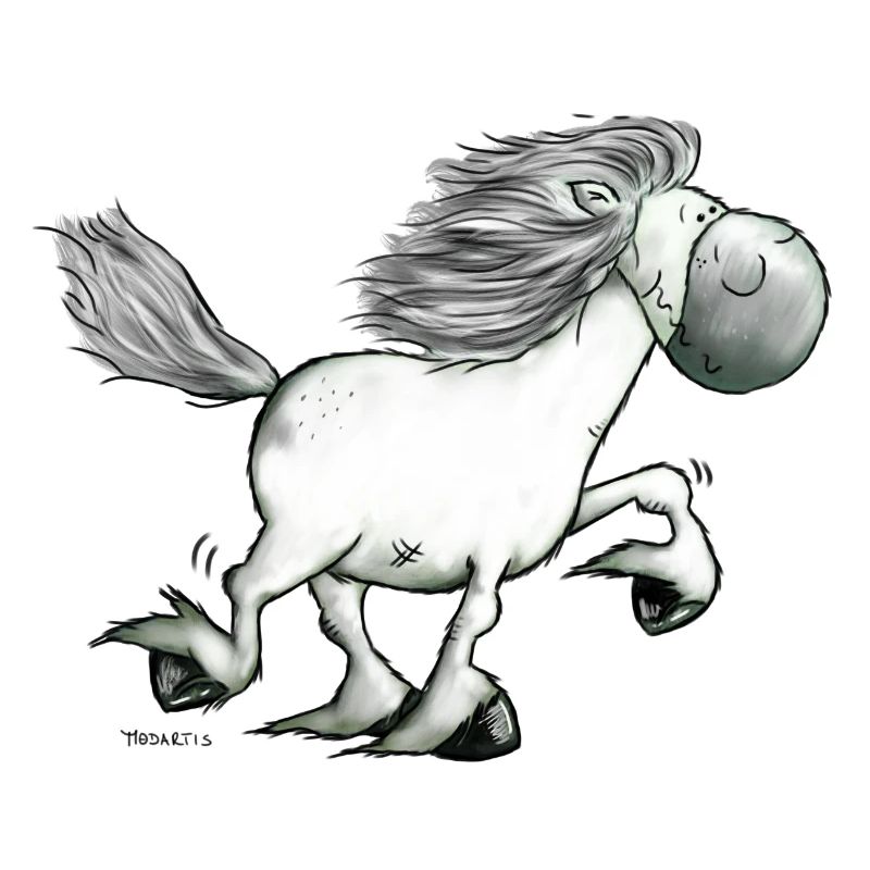 Drolliger Isländer - Islandpferd - Isi