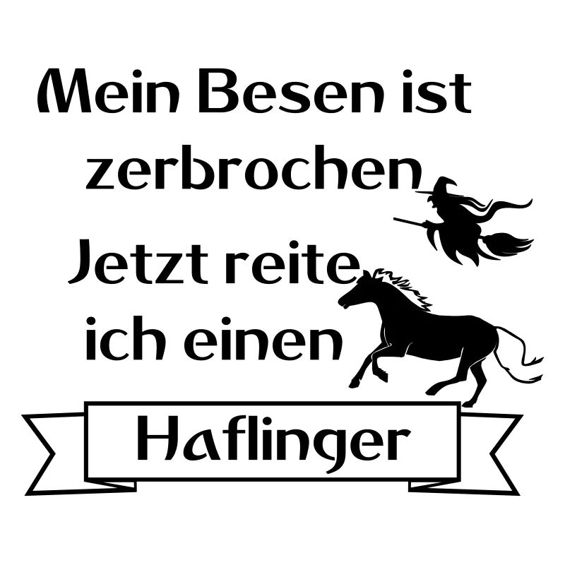 Mein Besen ist zerbrochen - Haflinger