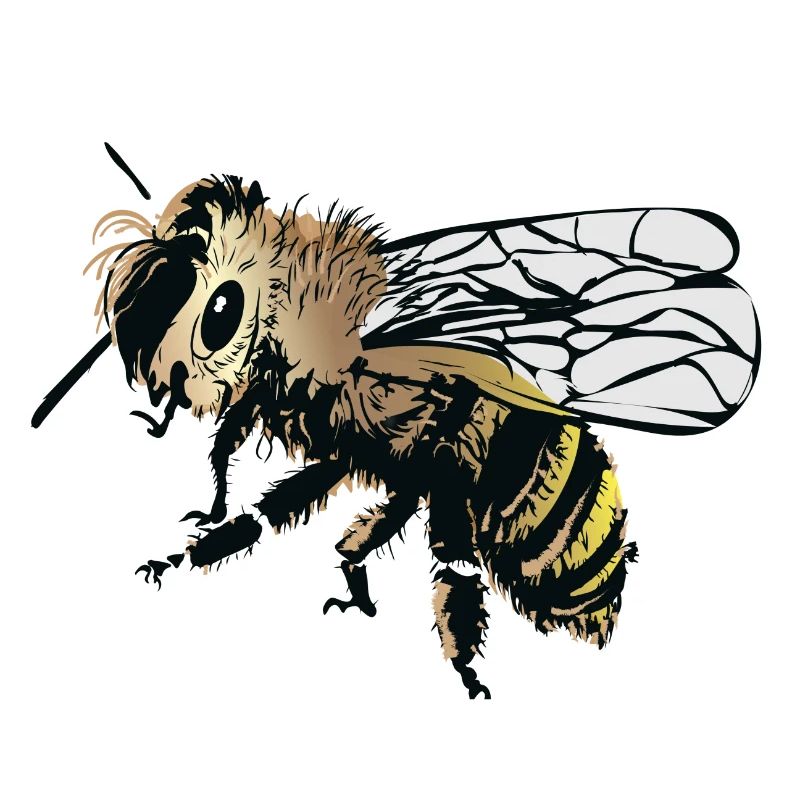 Stylized honey bee illustration