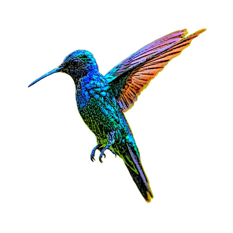 Kolibri