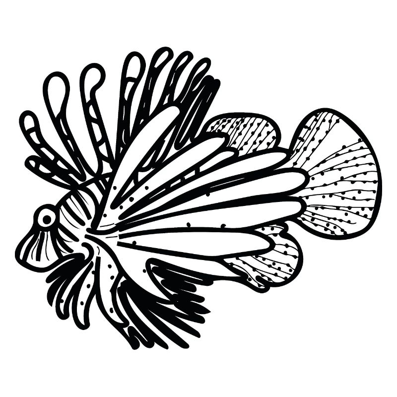 Oceanic Feuerfisch