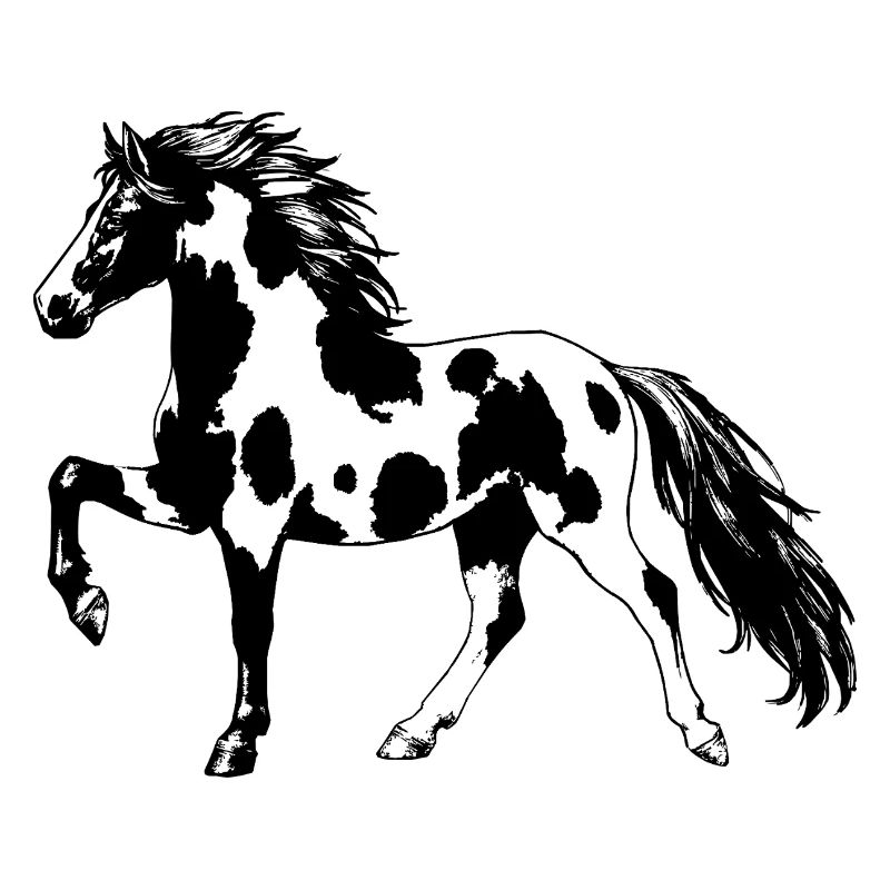 Cheval de selle tacheté – Cheval élégant et déambulant Pinto