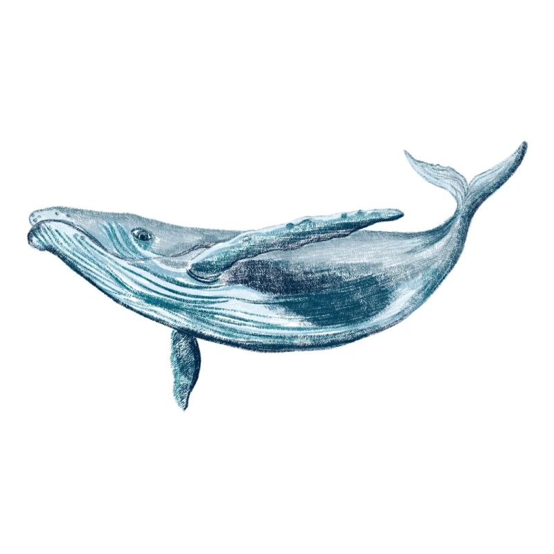 Save the ocean
