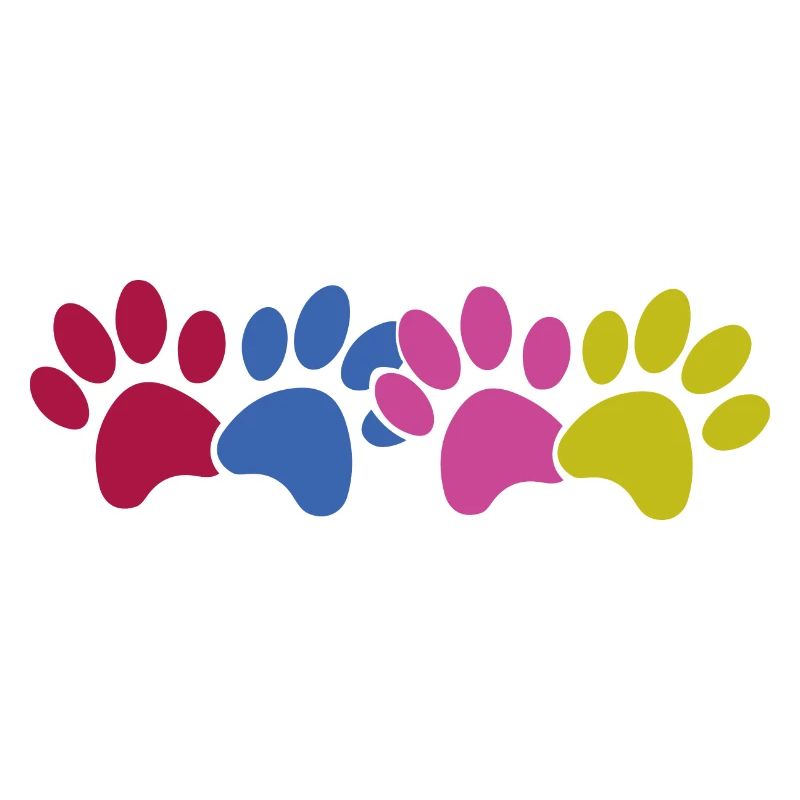 Dog paws