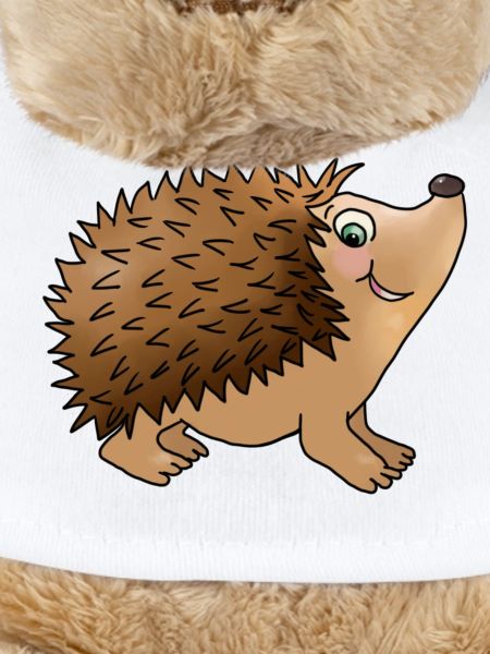 Friendly hedgehog
