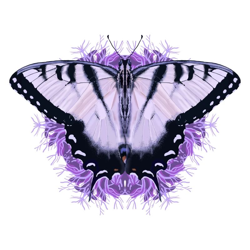 Papillon blanc à fleur pourpre