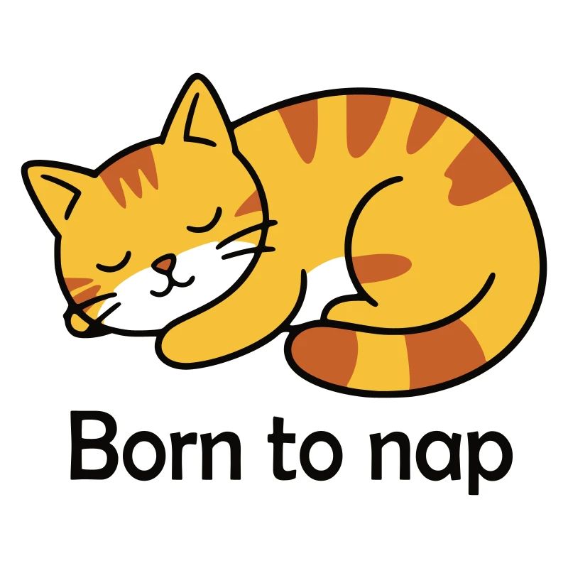 Conception du sommeil du chat né pour la sieste