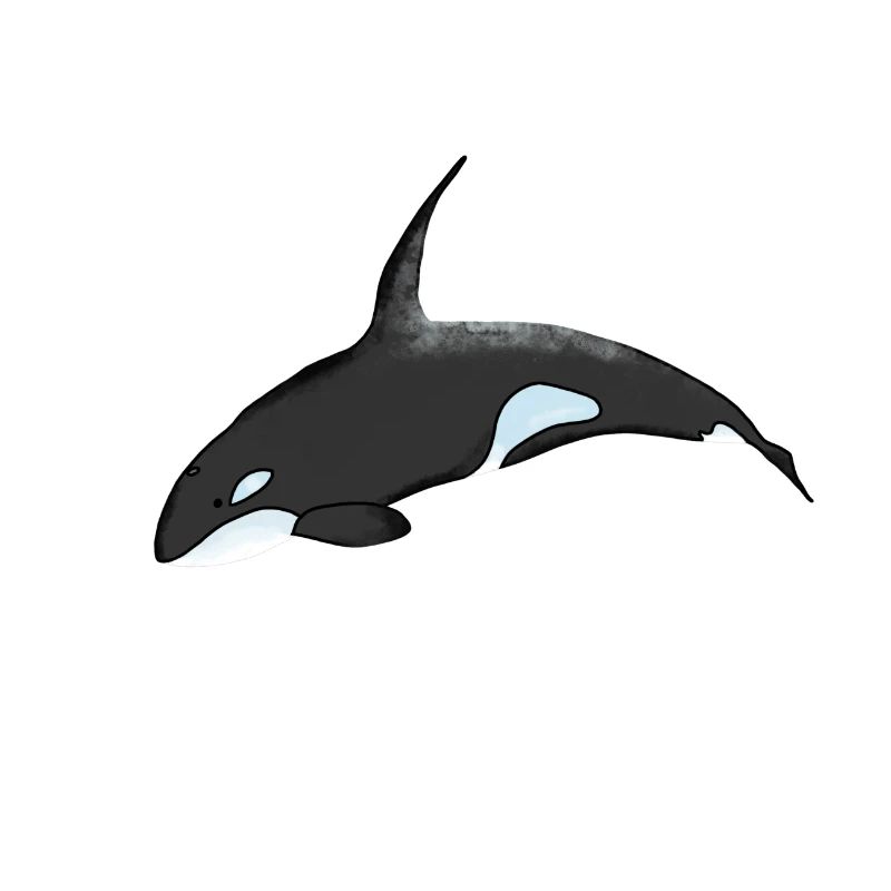 Orca Night Sky Cartoon Print