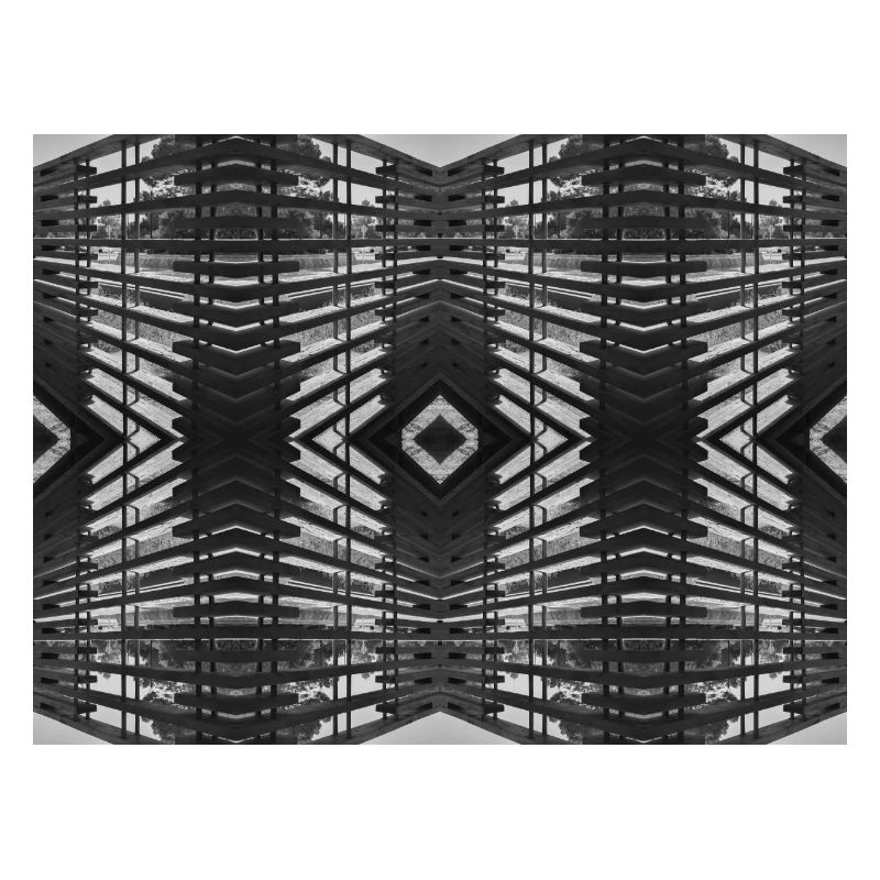Bois abstrait V.3
