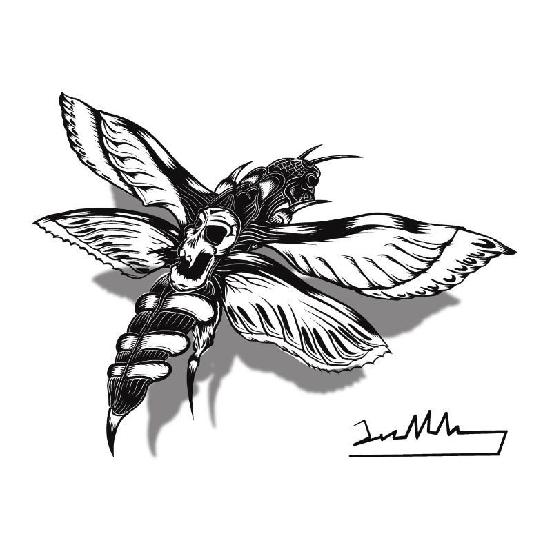 Moth