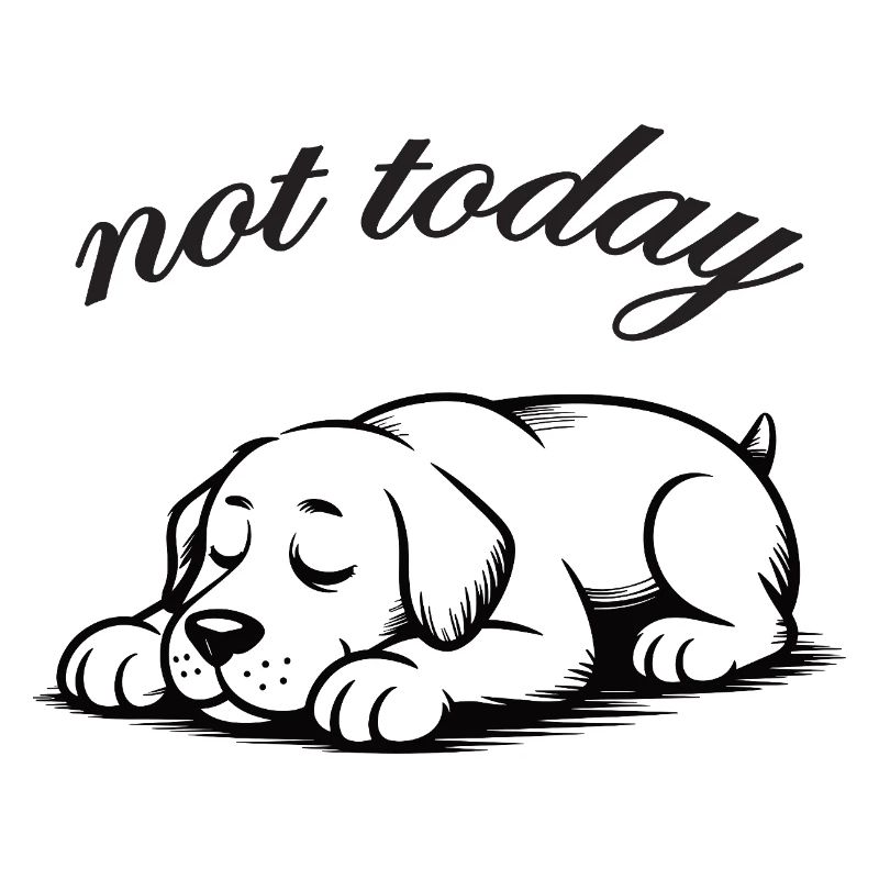 Nicht Heute labrador retriver Schlummer