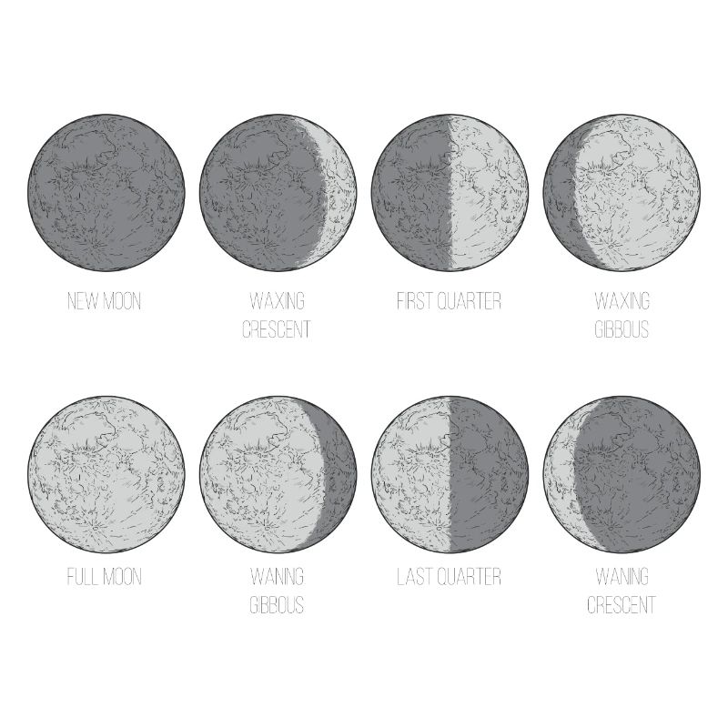 Monochromes Mondphasen-Gitter