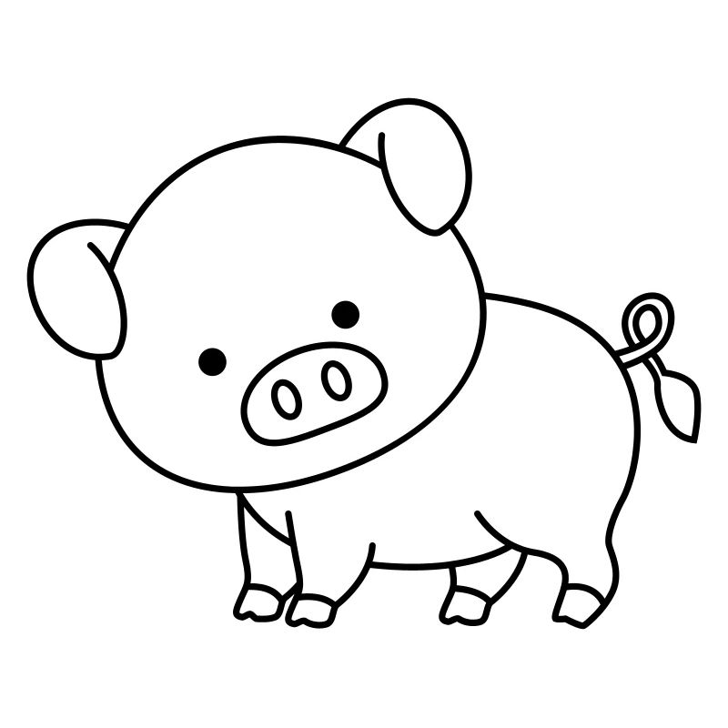 Cochon