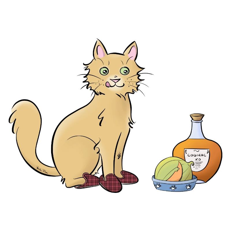 Chat-rentais