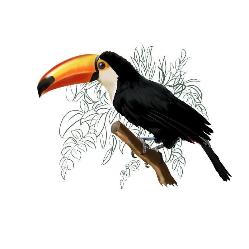 Toucan