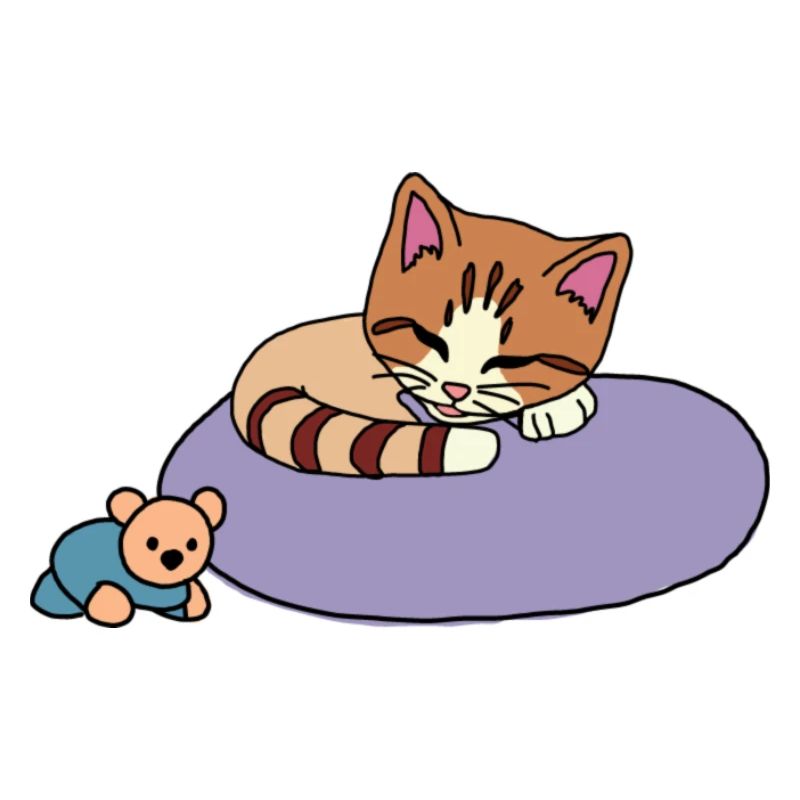 Katze