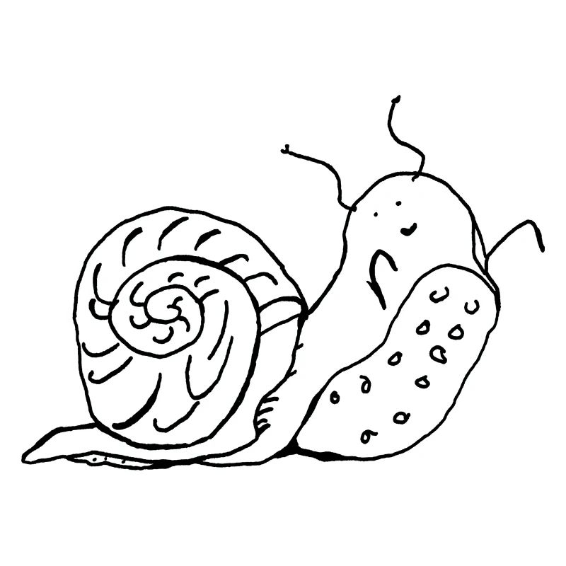 Schnecke