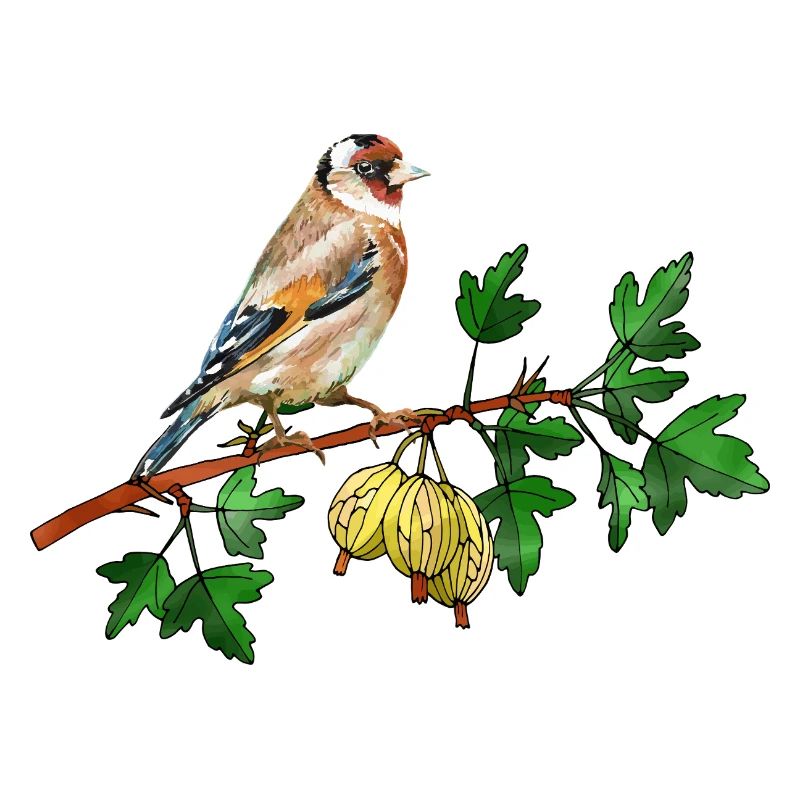 Bunter Vogel