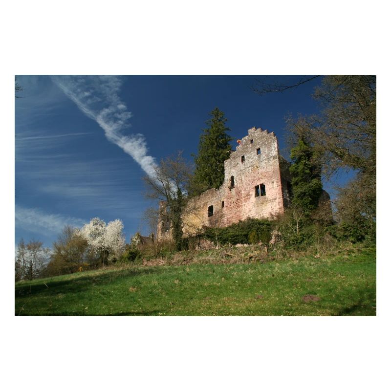Ruines du château de Zavelstein