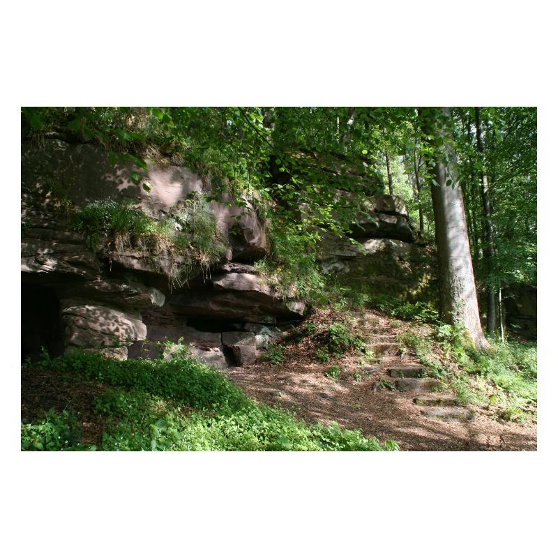 Rock path in the forest light / Northern Black Forest