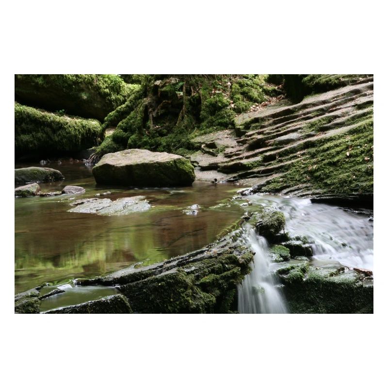 MONBACH IM NORDSCHWARZWALD