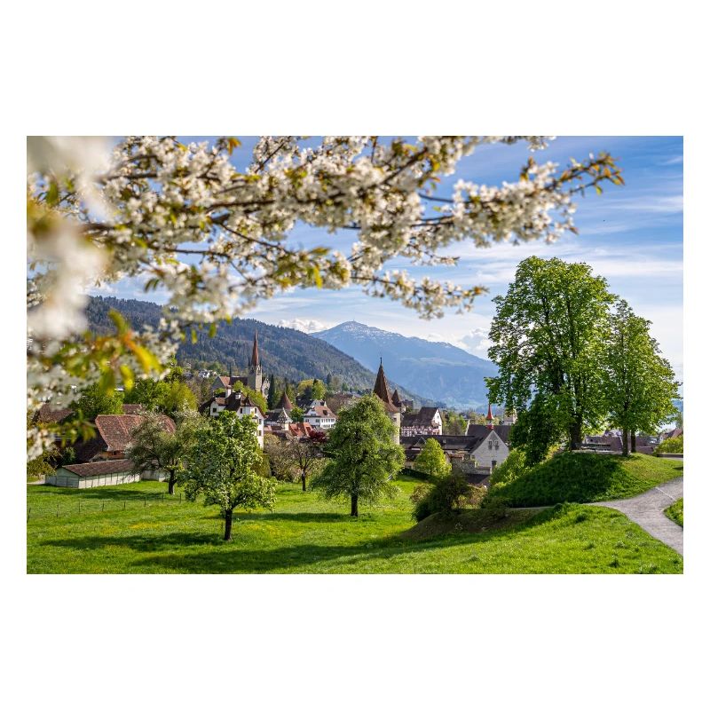 Spring magic in Zug