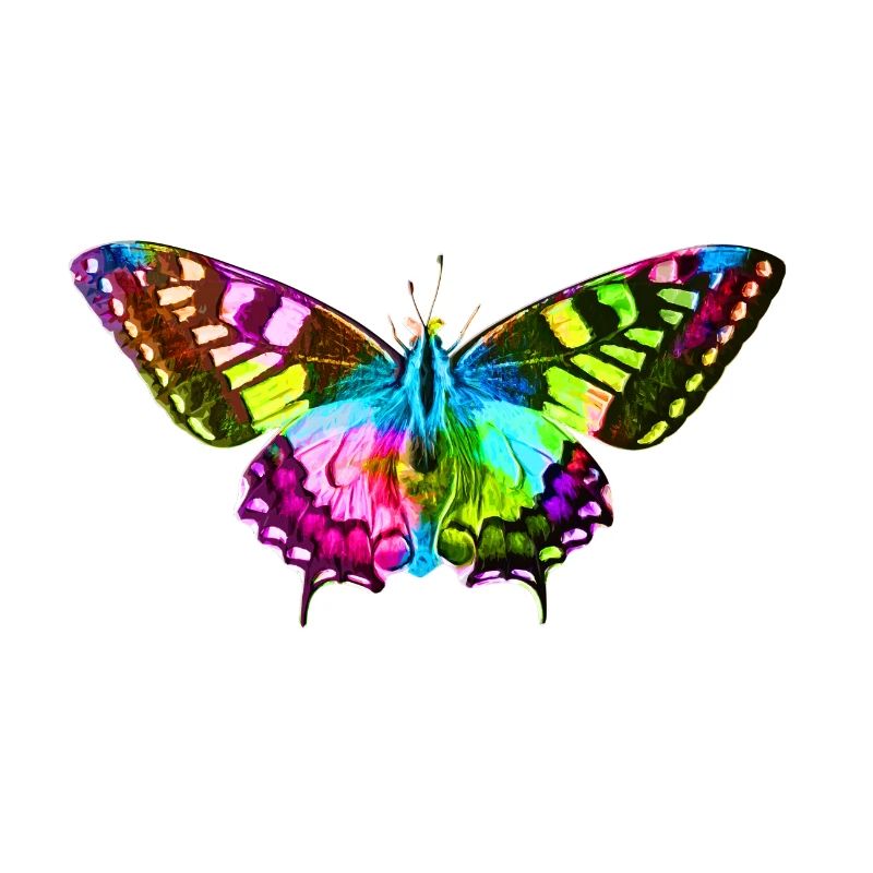 Papillon