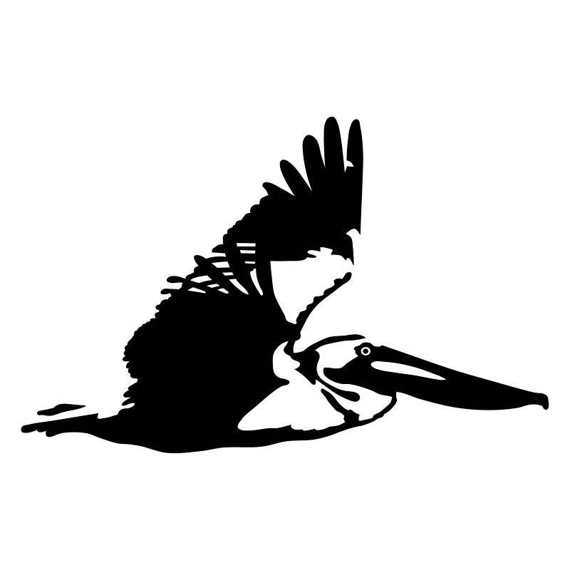 Pelican